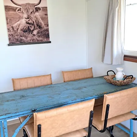 Chalet Waterlodge Met Waterfiets Op Monumentaal Ooltgensplaat