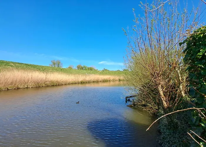 Chalet Waterlodge Met Waterfiets Op Monumentaal *
