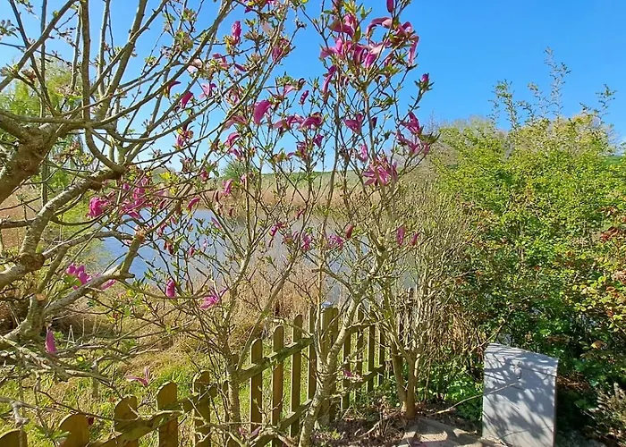 Waterlodge Met Waterfiets Op Monumentaal Chalet